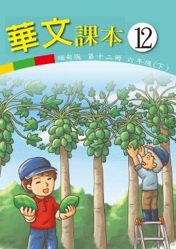 華文(緬甸版)12