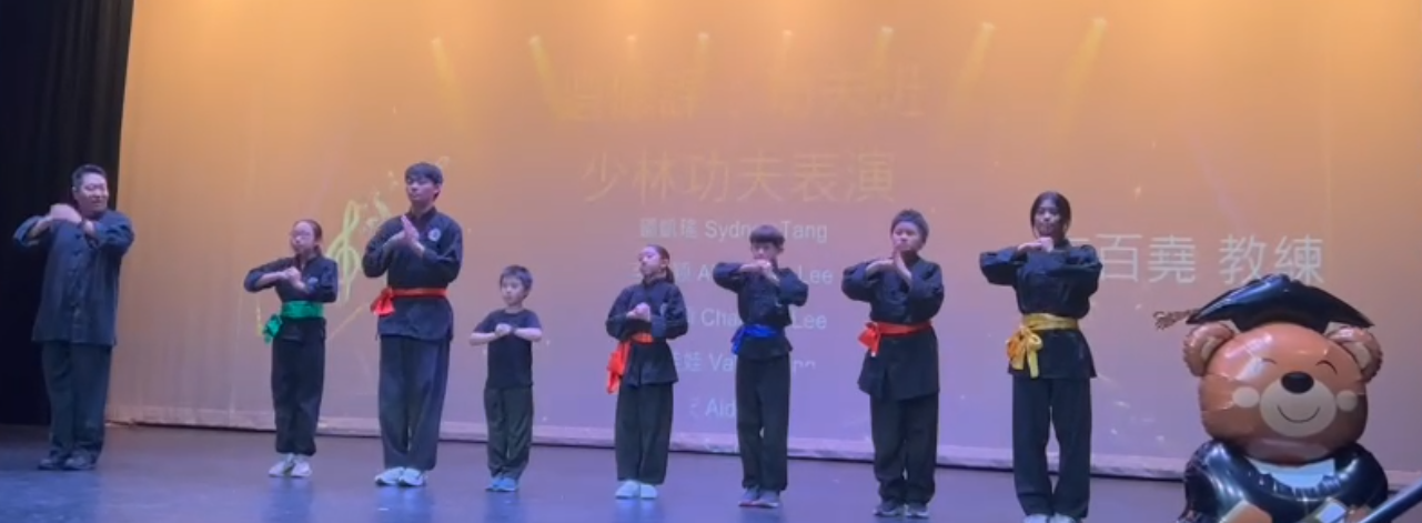 功夫表演