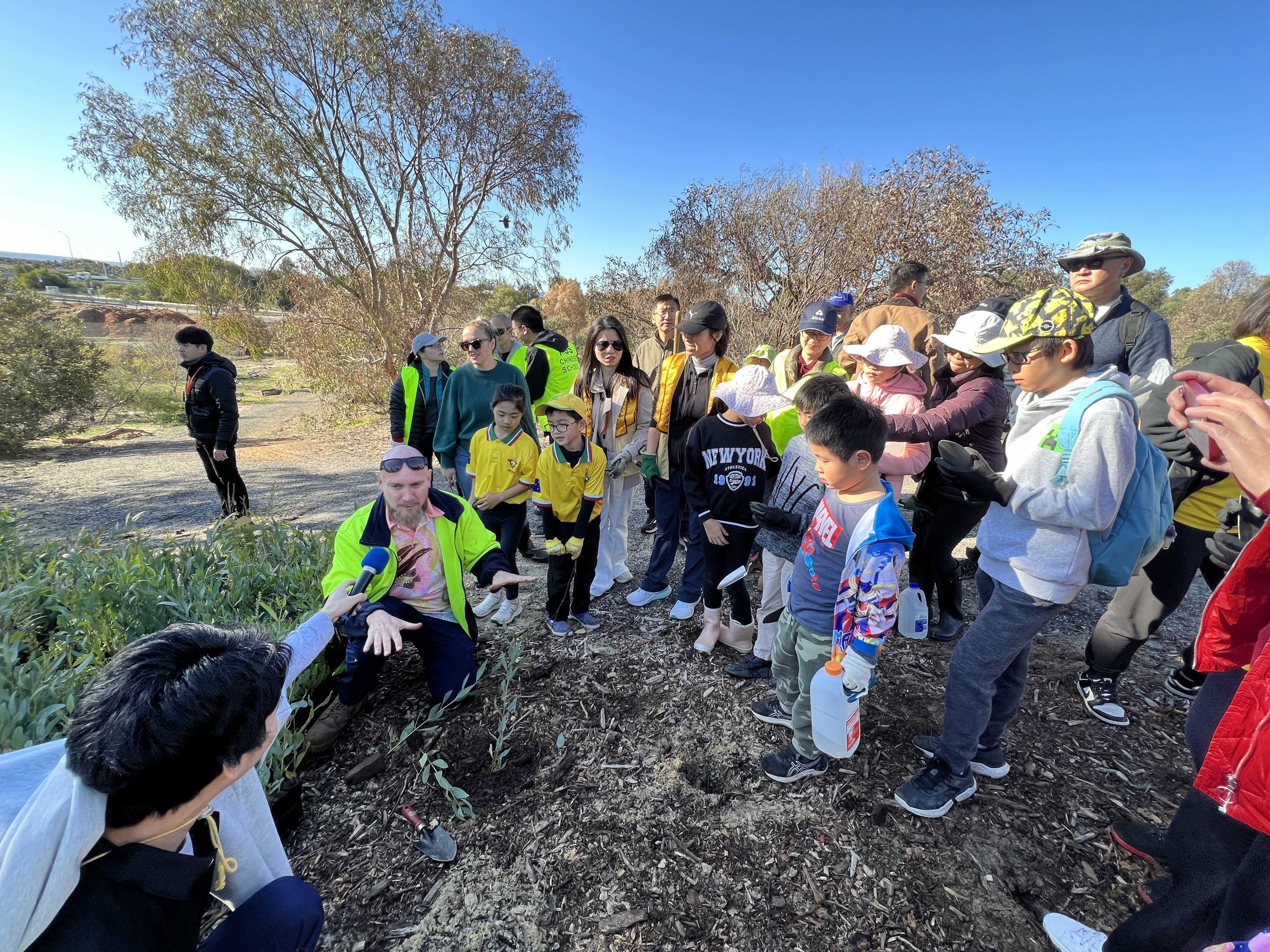 森林管理員示範如何種植樹苗