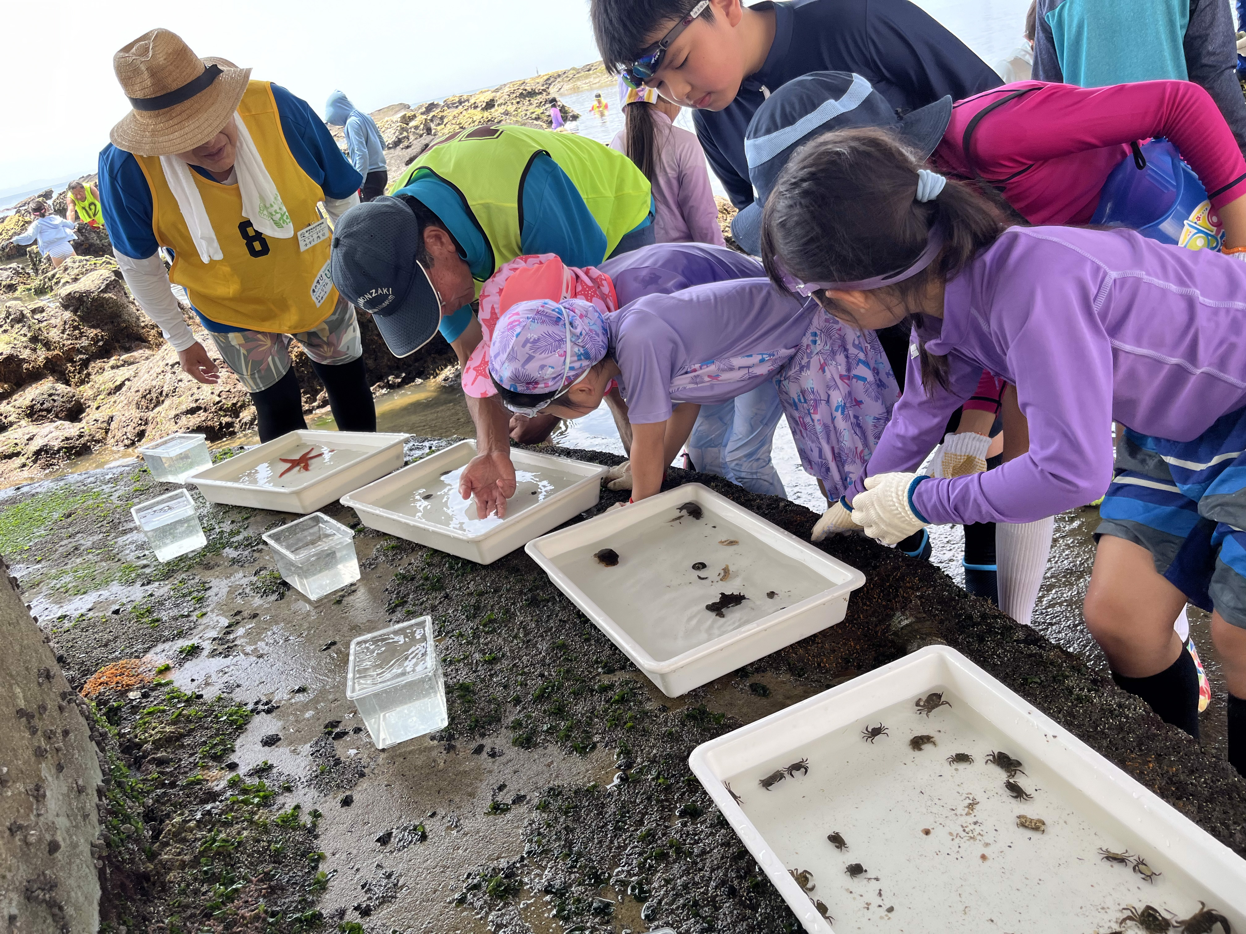 生物多樣化教學