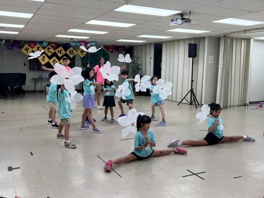 與桐花共舞(僑新聞)