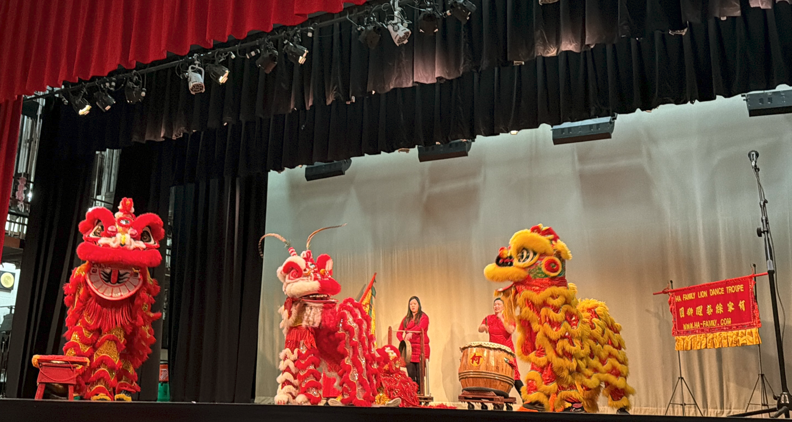 馬年舞獅表演 馬年大吉，新春快樂