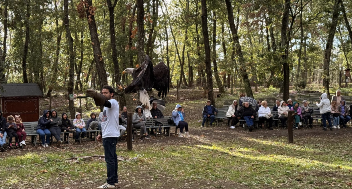 園區老鷹表演活動