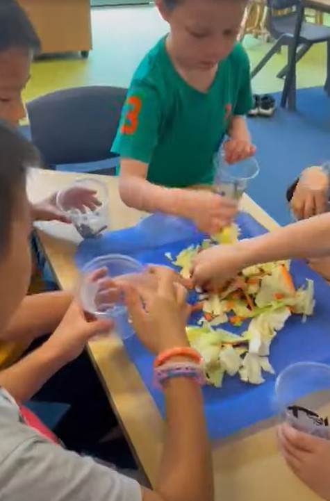 食物利用新知識