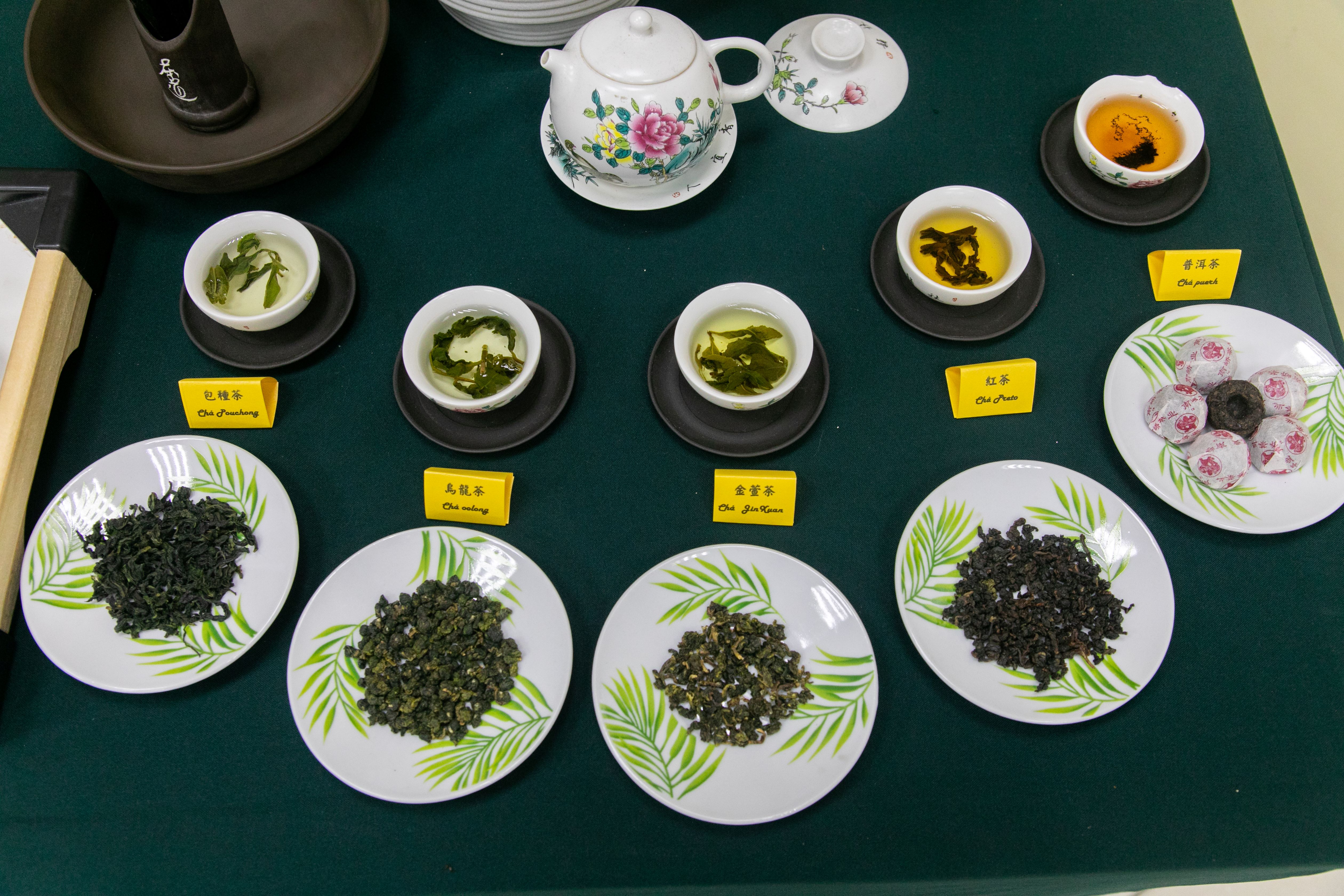 藝文體驗活動現場-品茶