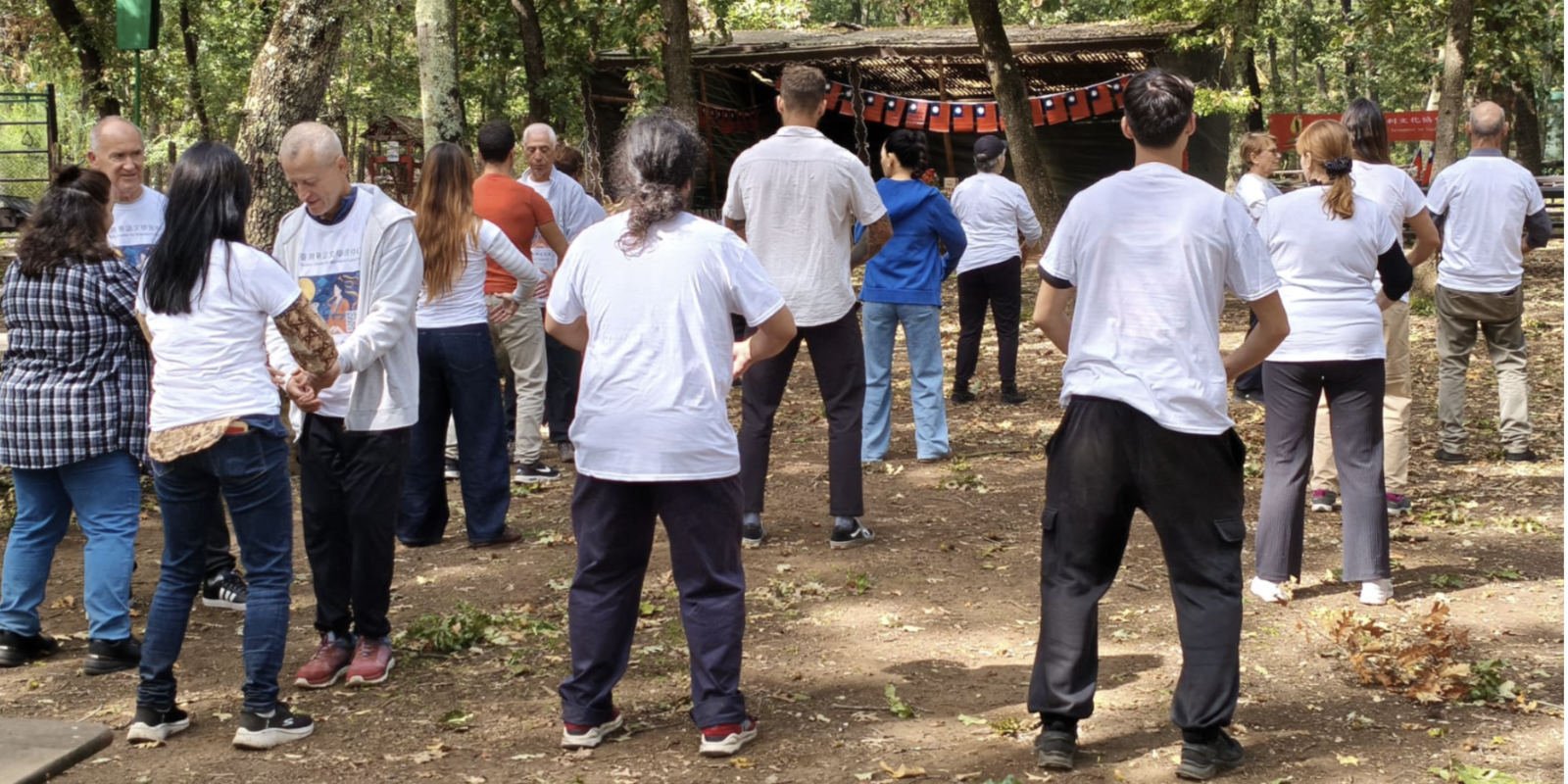 太極老師指導動作