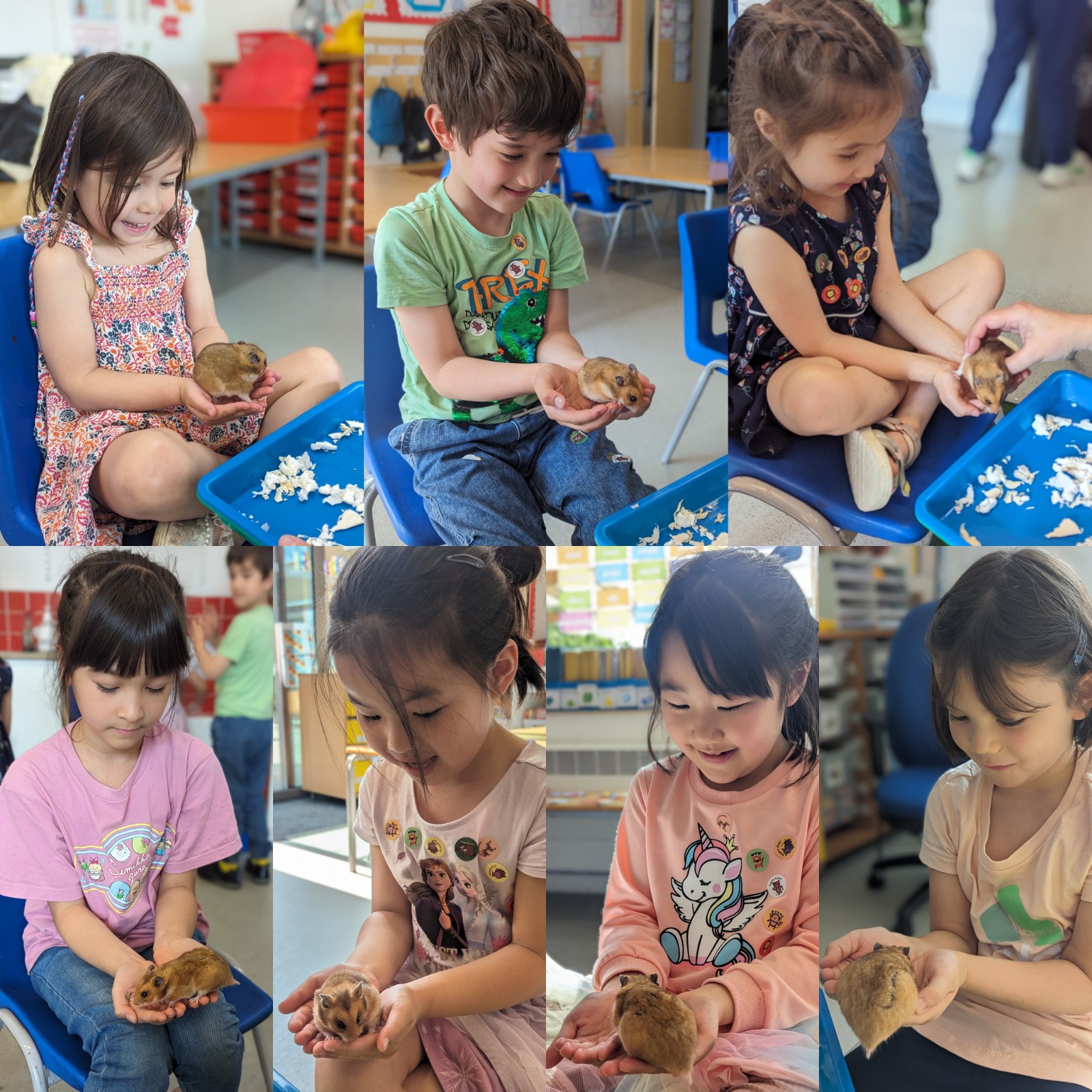 寵物飼養員體驗