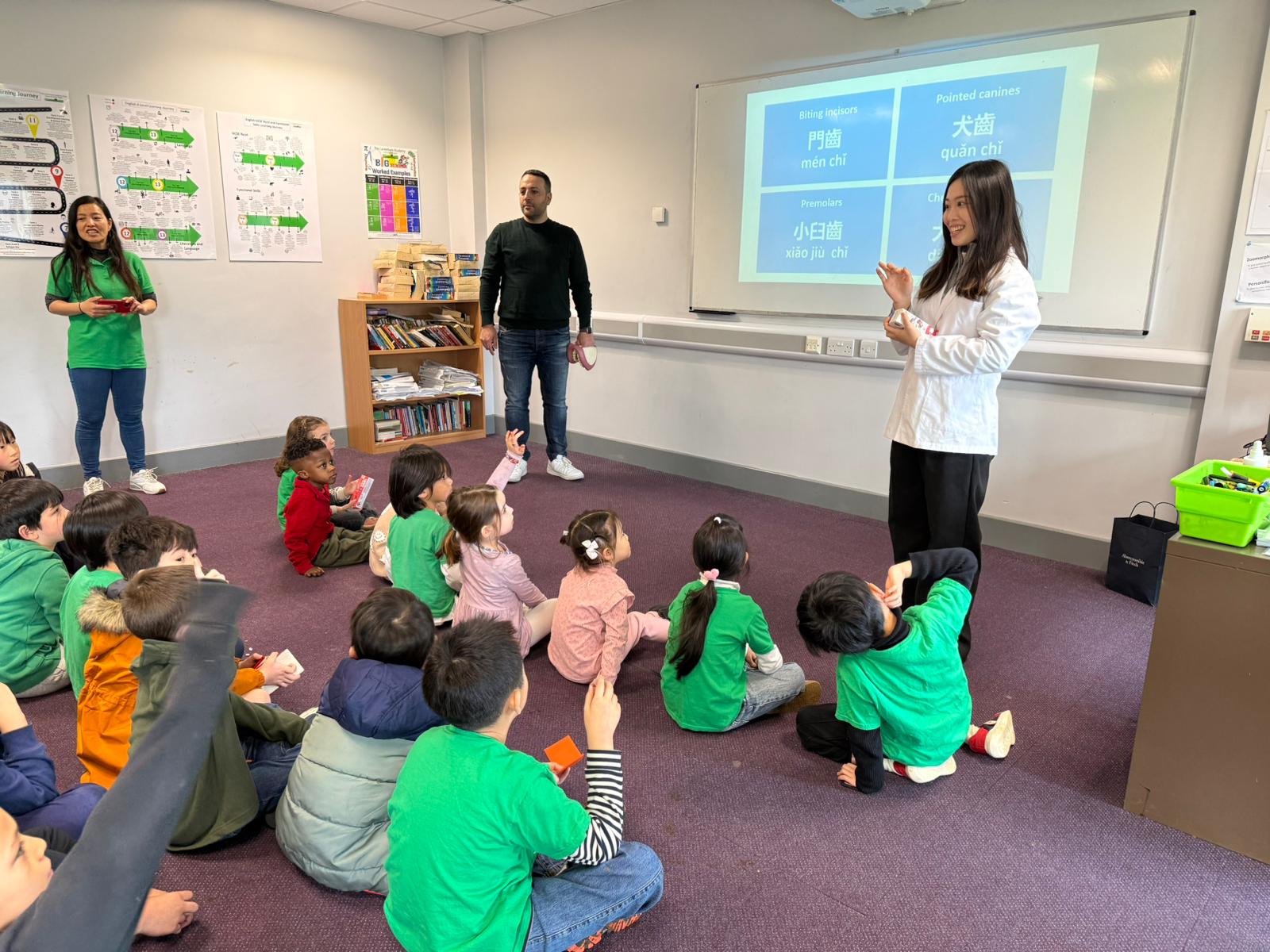 用中文學牙齒名稱