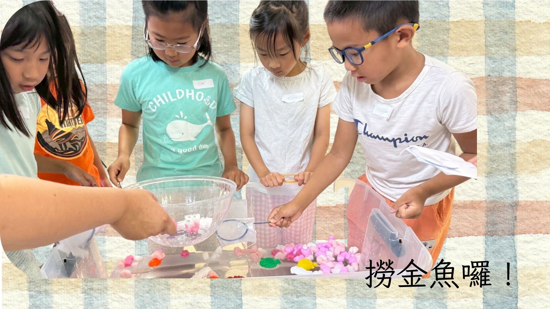 體驗夜市撈金魚的樂趣